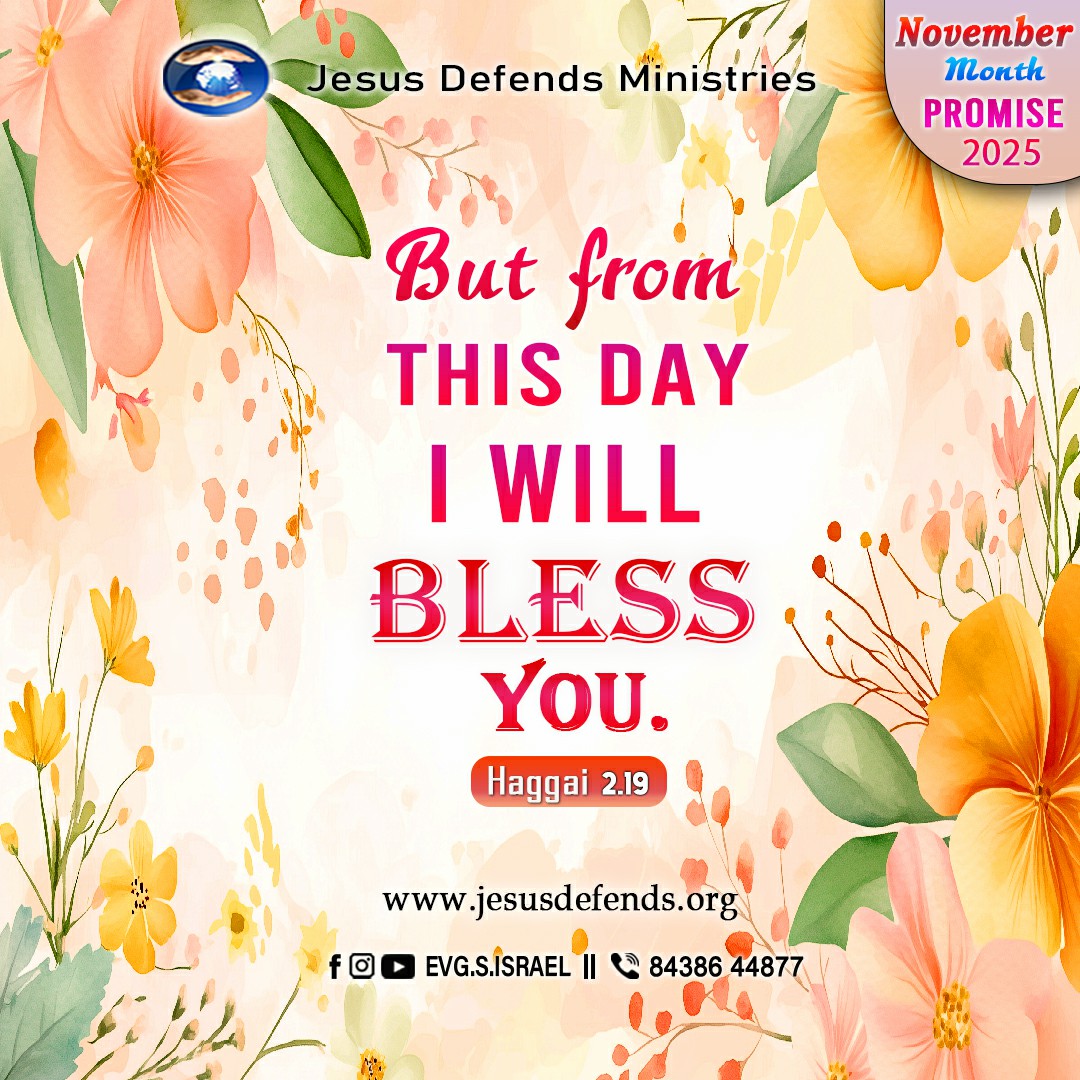 1 november 2025 eng copy